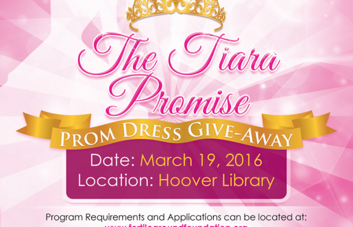 Prom Dress Giveaway 2016